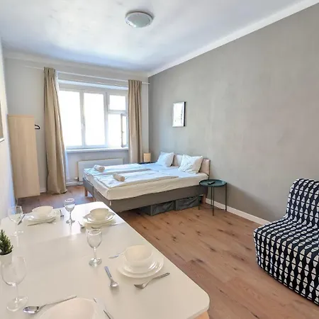 Flat In Zizkov -302-