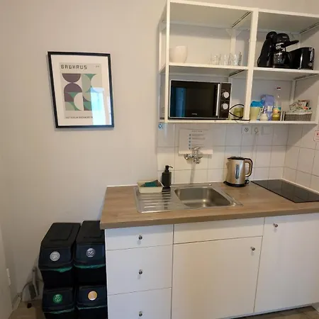 Flat In Zizkov -302- Prague