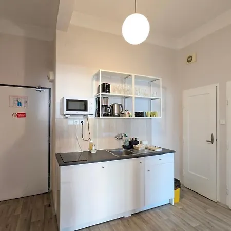 Flat In Zizkov -302- * Praha