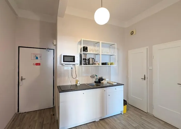 Flat In Zizkov -302- * Prague